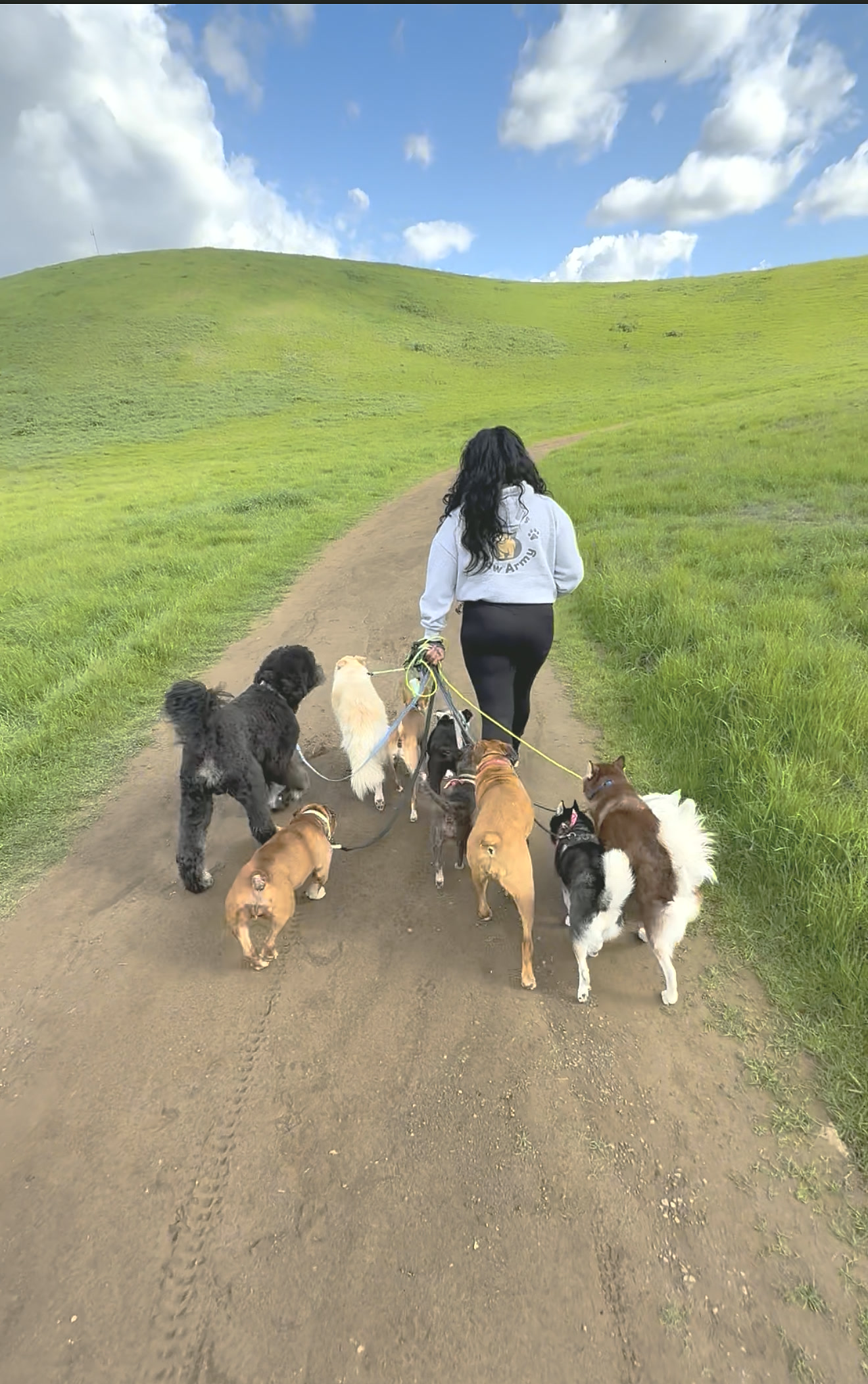 Leading the pack up a green hill trail