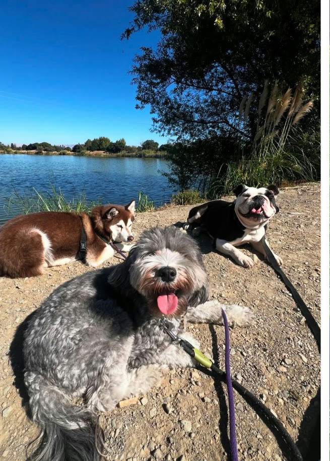 The pack resting on the lake trail